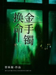 换命金手镯+后续