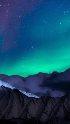 天裂之他们震惊我是上古女帝！(好奇猫耳语)阅读