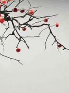 为了活命，她将自己毒哑了后续+番外