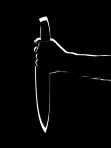 惩凶进行时(莲藕炒肉片)阅读