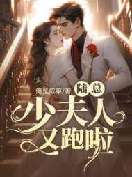 陆总，少夫人又跑啦