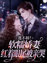 逃不掉！软糯娇妻红着眼尾被亲哭阅读